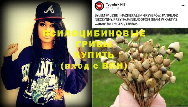 каннабис Михайловск