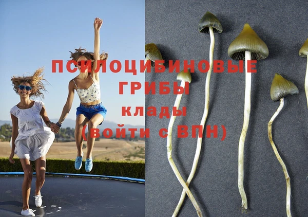 прущие крисы Мурманск
