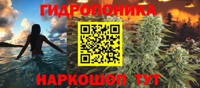 МДМА Камышлов