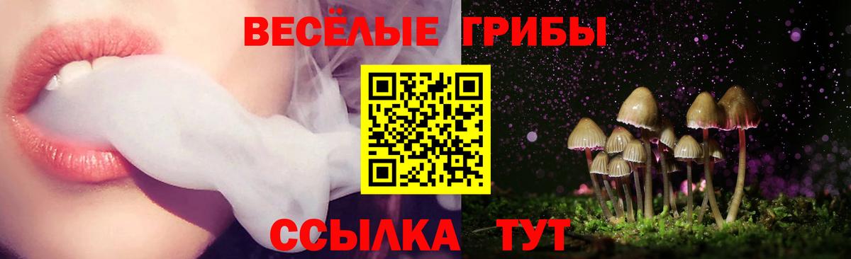 Благовещенск  Псилоцибиновые грибы Cubensis  Вход с VPN  Псилоцибиновые грибы GOLDEN TEACHER 